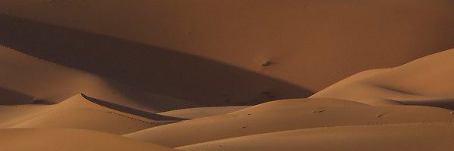 remmooni's profile banner image