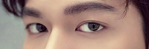 ineyaval's profile banner image