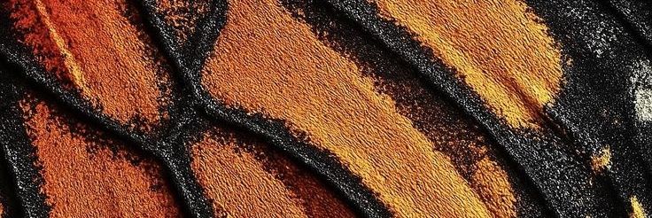 howthatais's profile banner image