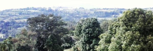 Mass_Aang Profile Banner