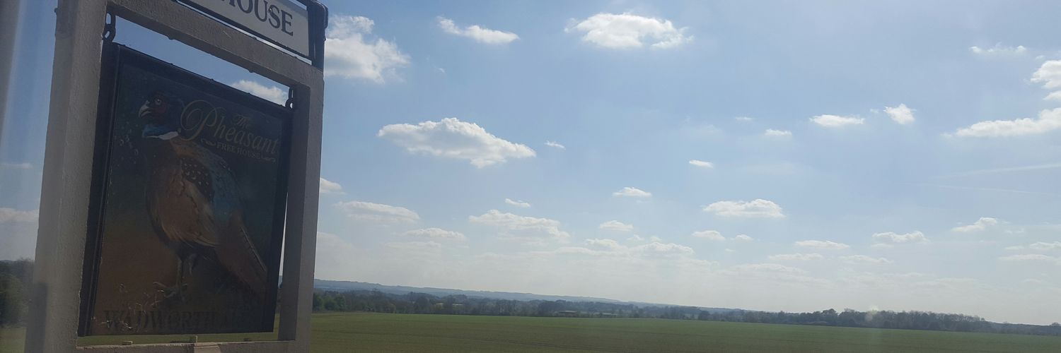 PheasantErmin's profile banner image