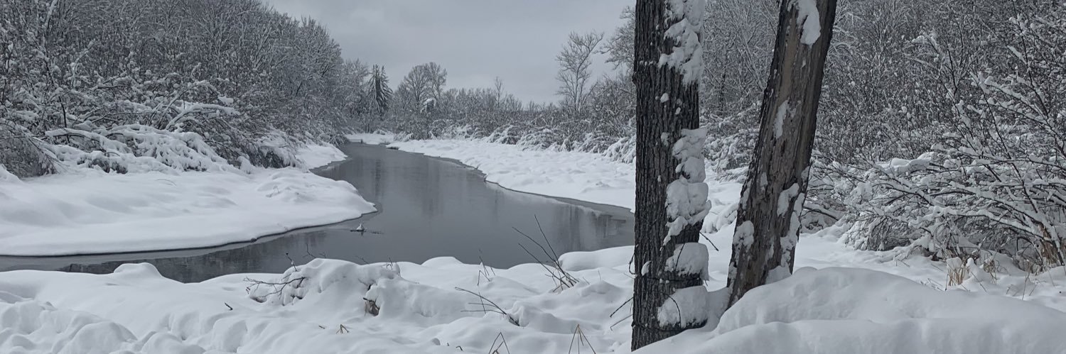 BMBFishing's profile banner image