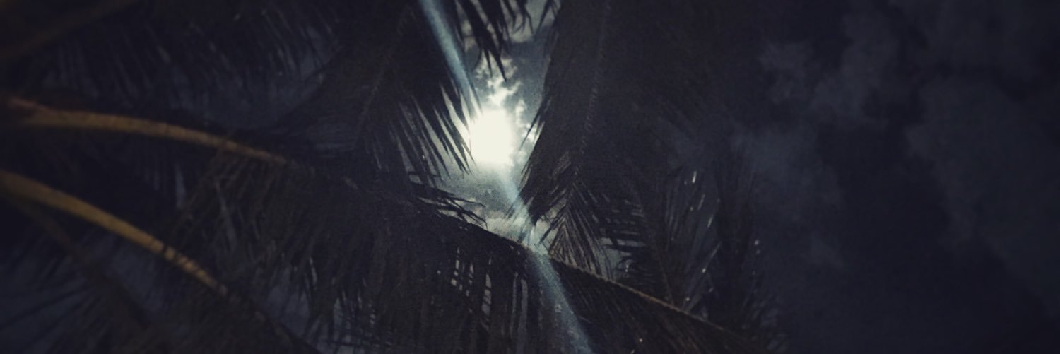 Elshaymusic's profile banner image