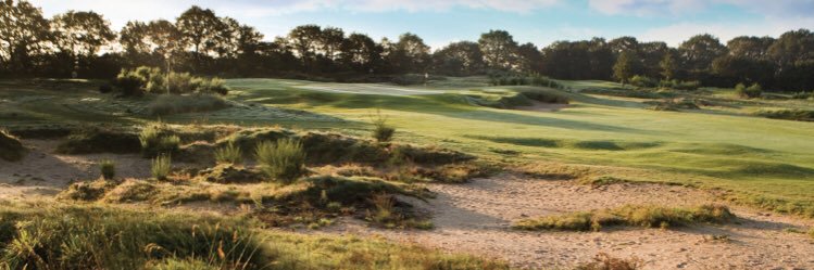 GolfRotary's profile banner image