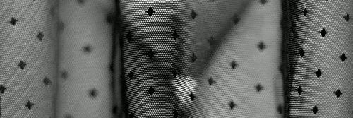 Elizabe89350982's profile banner image