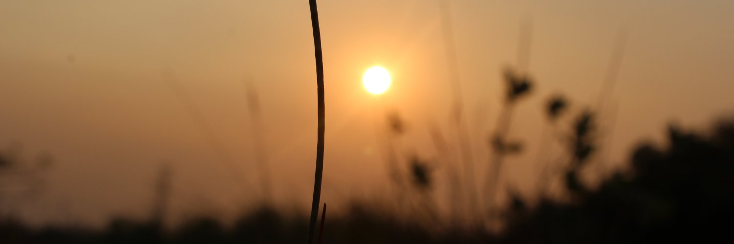 diaafrd's profile banner image