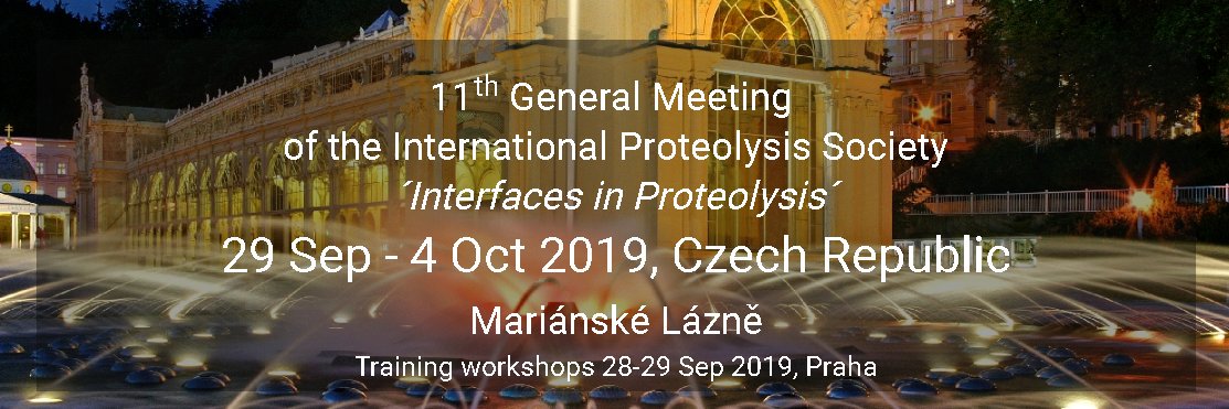 IPS2019 banner