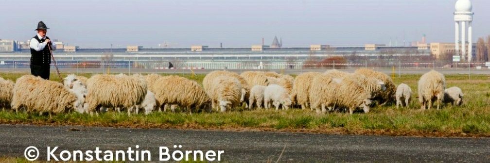 100%THF #Klimaflughafen #TempelhoferFeld banner