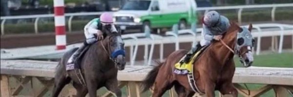 Faleh_AbuAzeeda Profile Banner