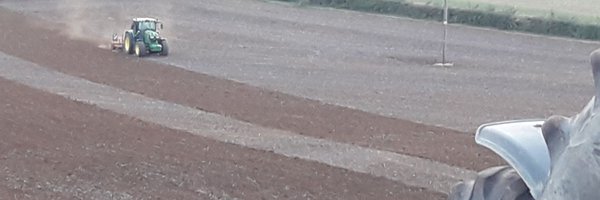 Tiggertagg1 Profile Banner