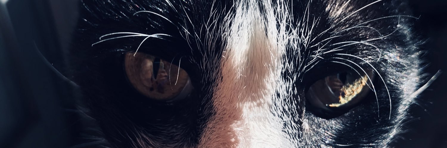 Alanchuz's profile banner image