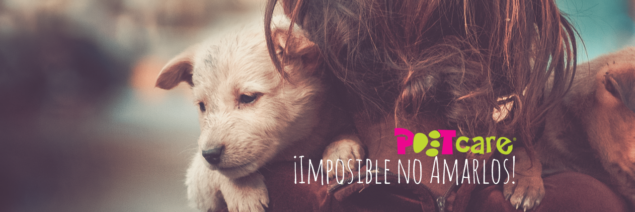 PETCARERD's profile banner image