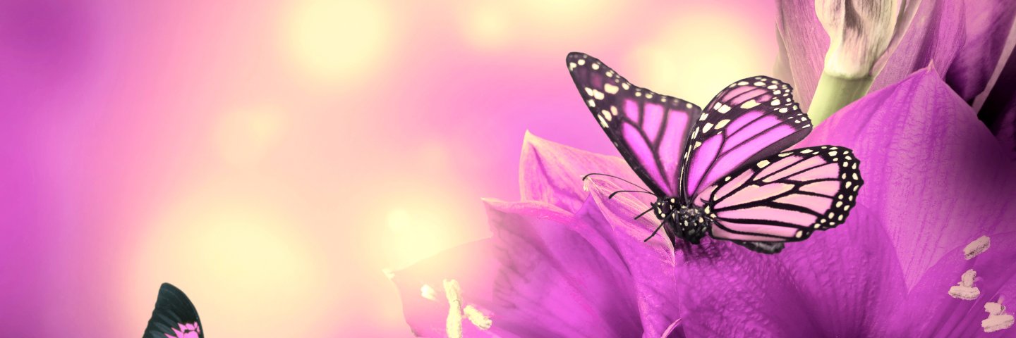 TechnoDezi's profile banner image