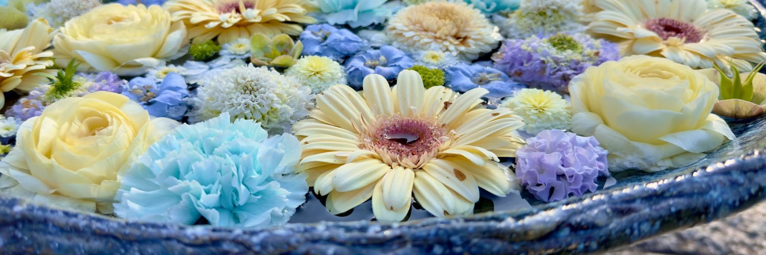 Hanazonomiya's profile banner image