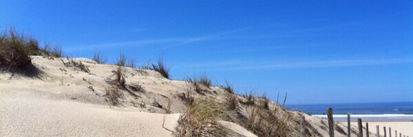 SBoueilh Profile Banner