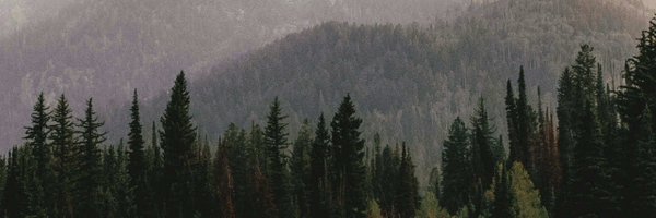 marwannsh Profile Banner