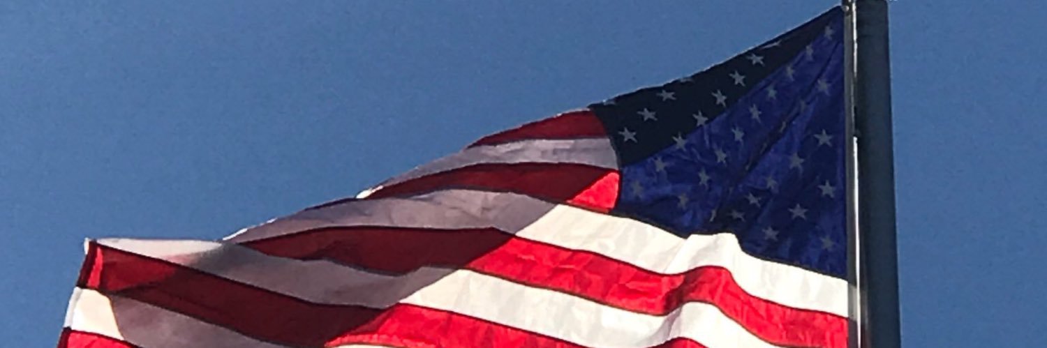 Common Sense Conservative banner