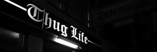 Longzinc's profile banner image
