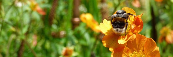 J_DoubleS Profile Banner