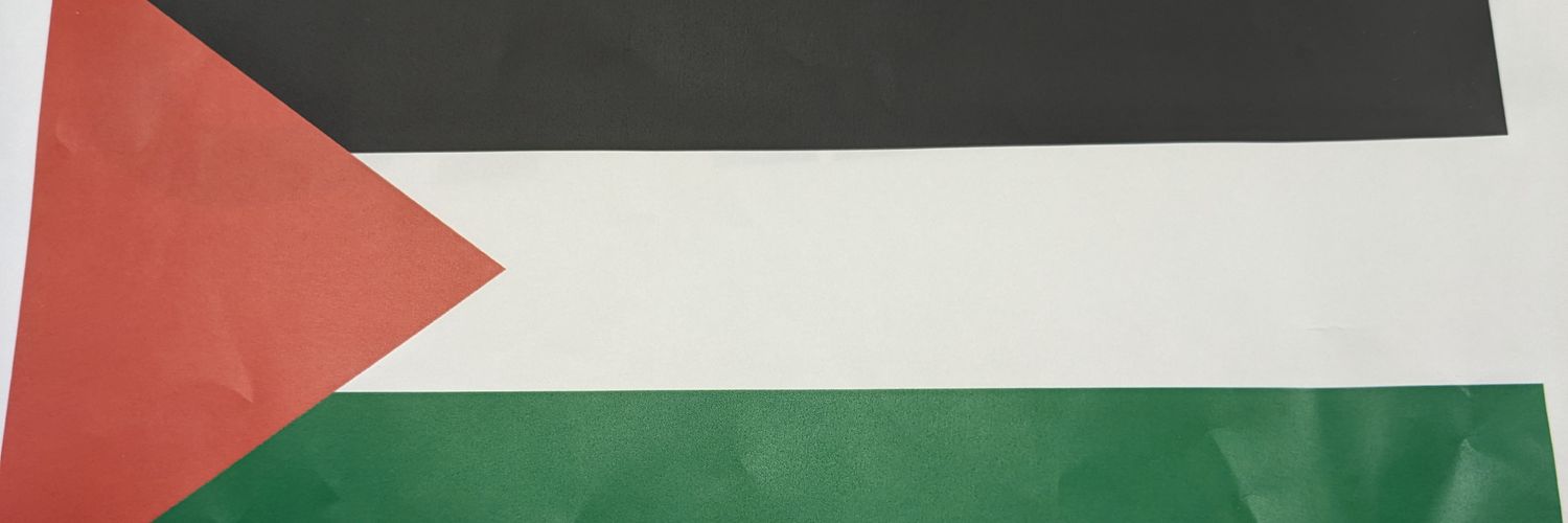 ぴのにゃ～さん( ´∀｀) 🏳️‍🌈🏳️‍⚧️☮️ banner