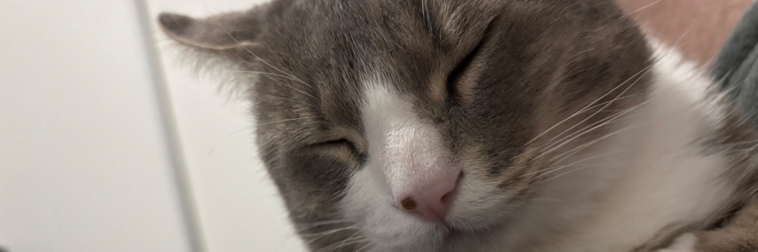 Cristopher Pavkovic banner