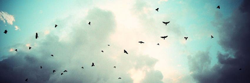 emineasln's profile banner image