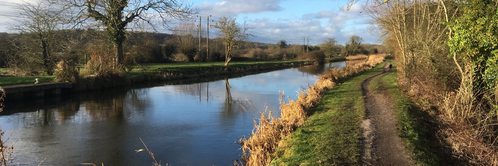 Jimothy Halpert banner