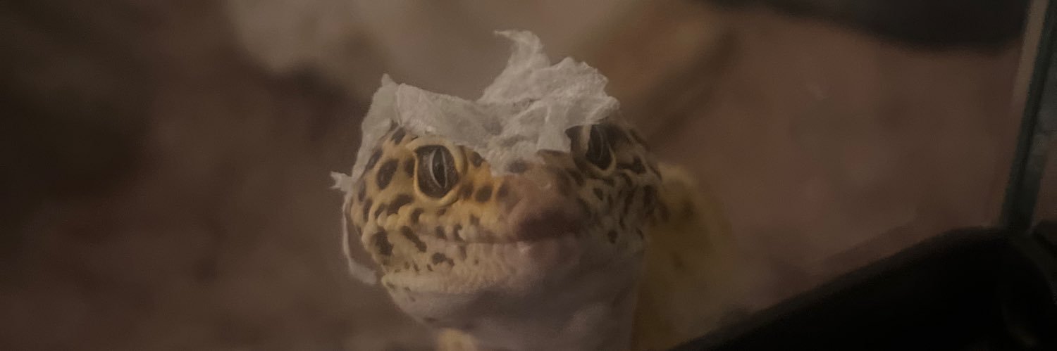 chlo_dgv's profile banner image