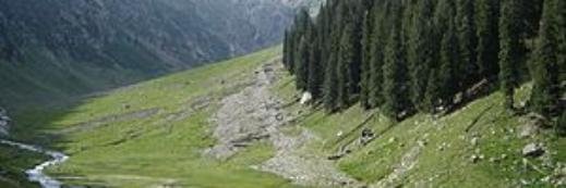 Muhammad Yaqoob banner