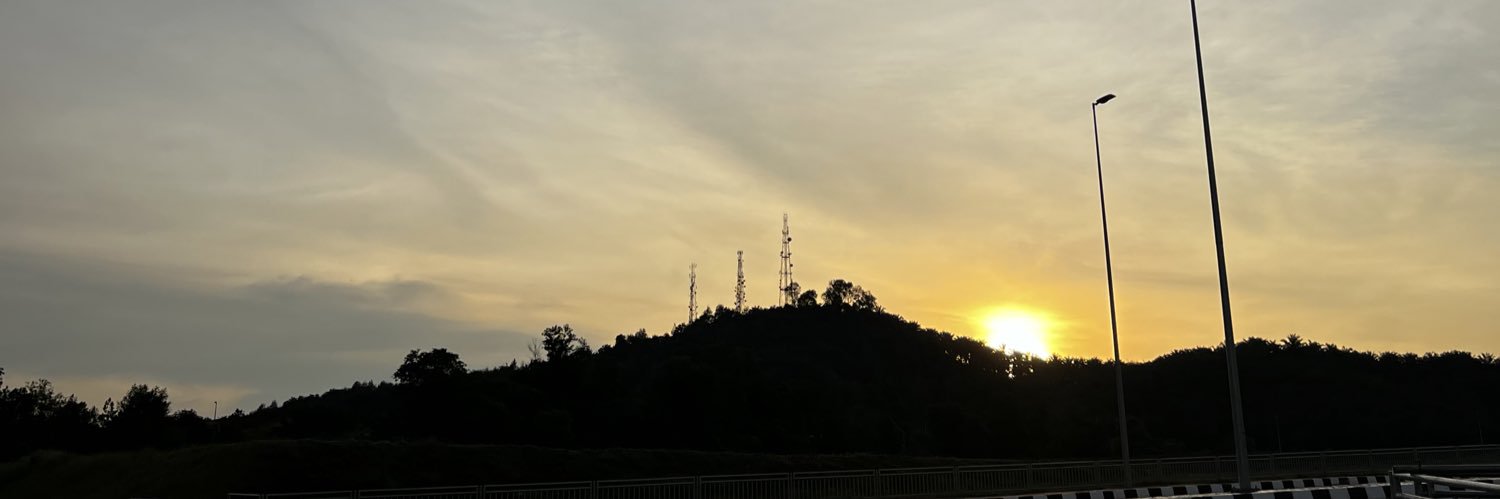NuMiSo banner