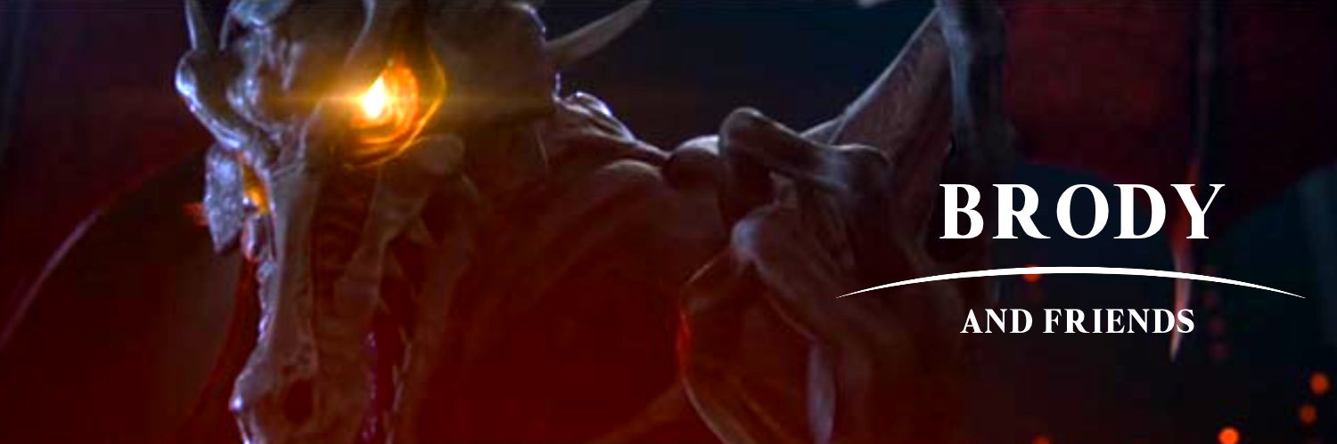 Brody banner