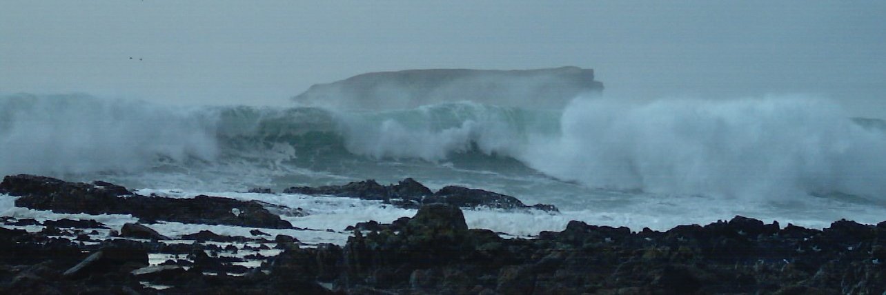 Catherine Doogan banner