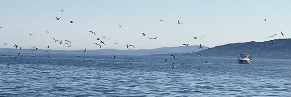 GuemairM Profile Banner
