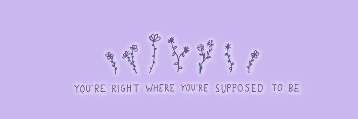 Lilly🪷🐰 banner