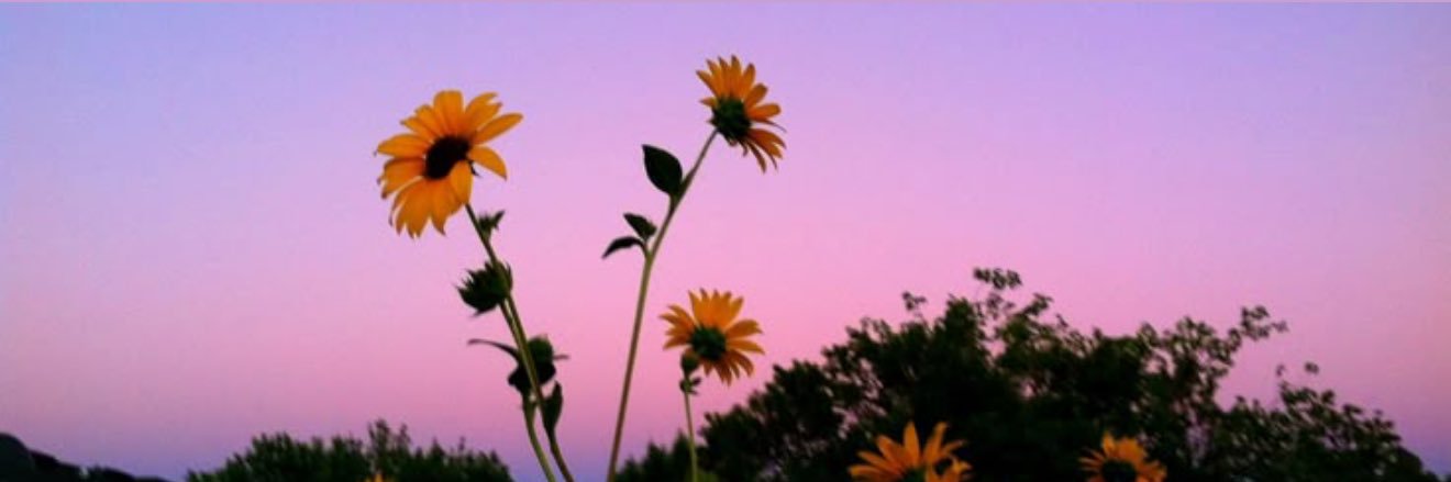 Hillary Baker (Carlson) banner