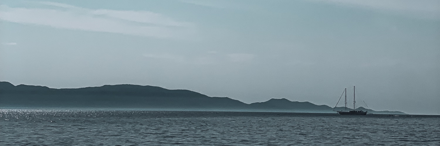 Curiousadil's profile banner image