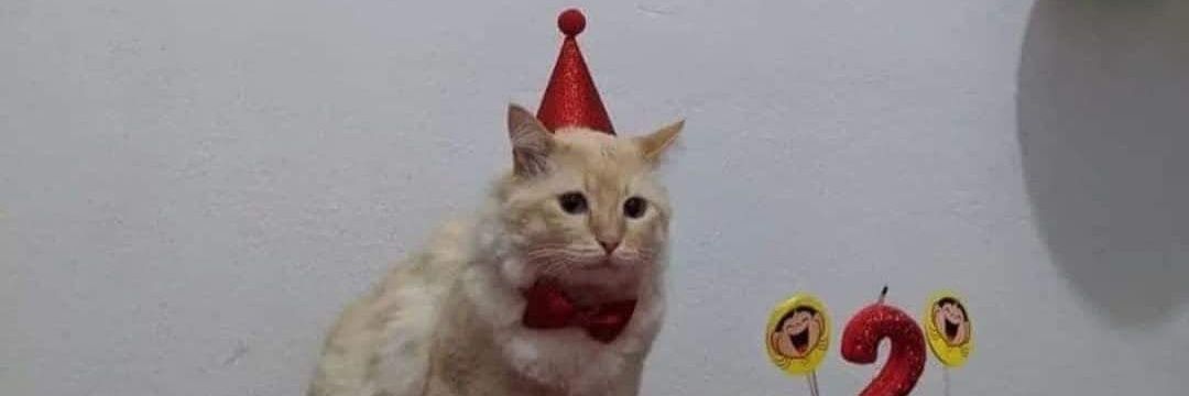 truenkitos's profile banner image