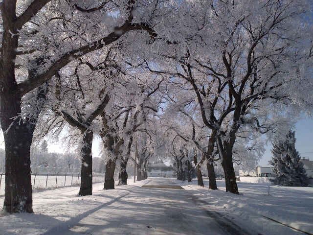 Brad Patterson banner