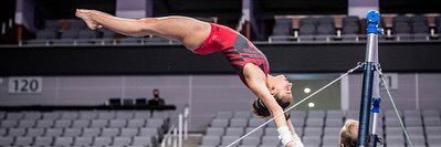 addison fatta banner