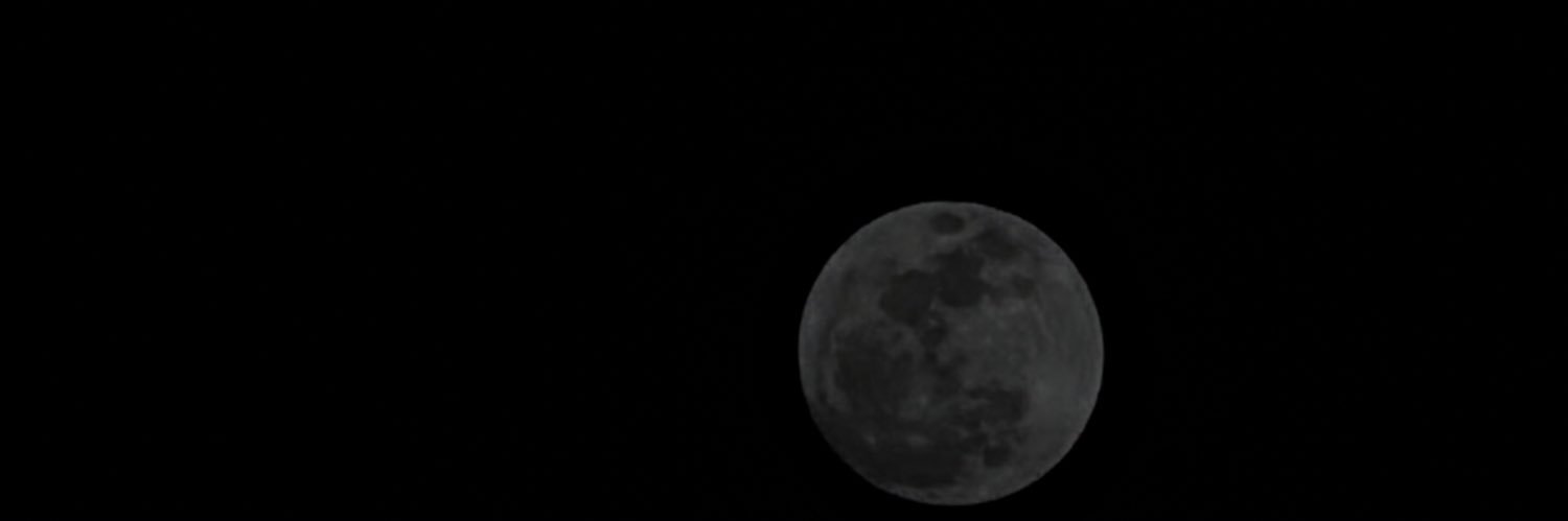 Lychee deshidratado banner