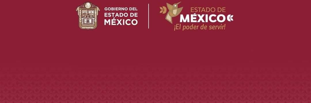 DGFA-EdoMex banner