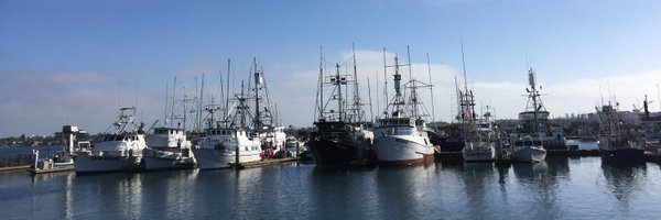 dcubed Profile Banner