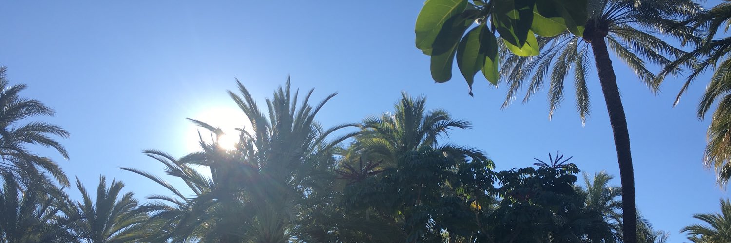 HollyMolly83's profile banner image