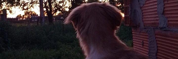 Dai_g01's profile banner image