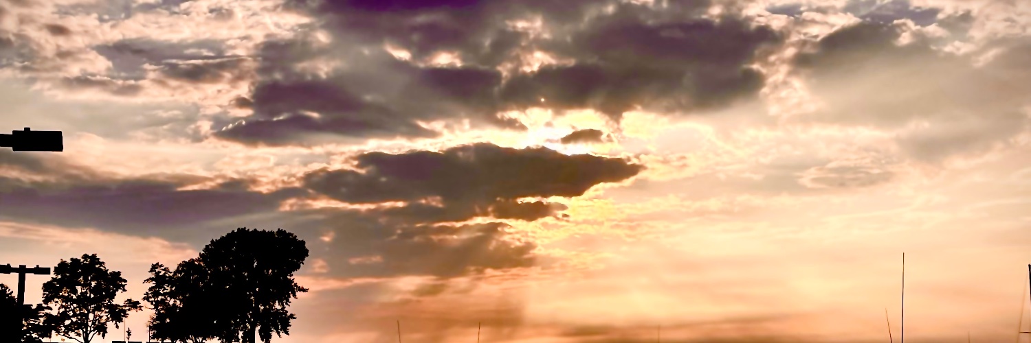 Harper the yeen dog 🐟🎣🚒🚑 banner