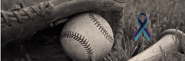 Baseball for Dad banner