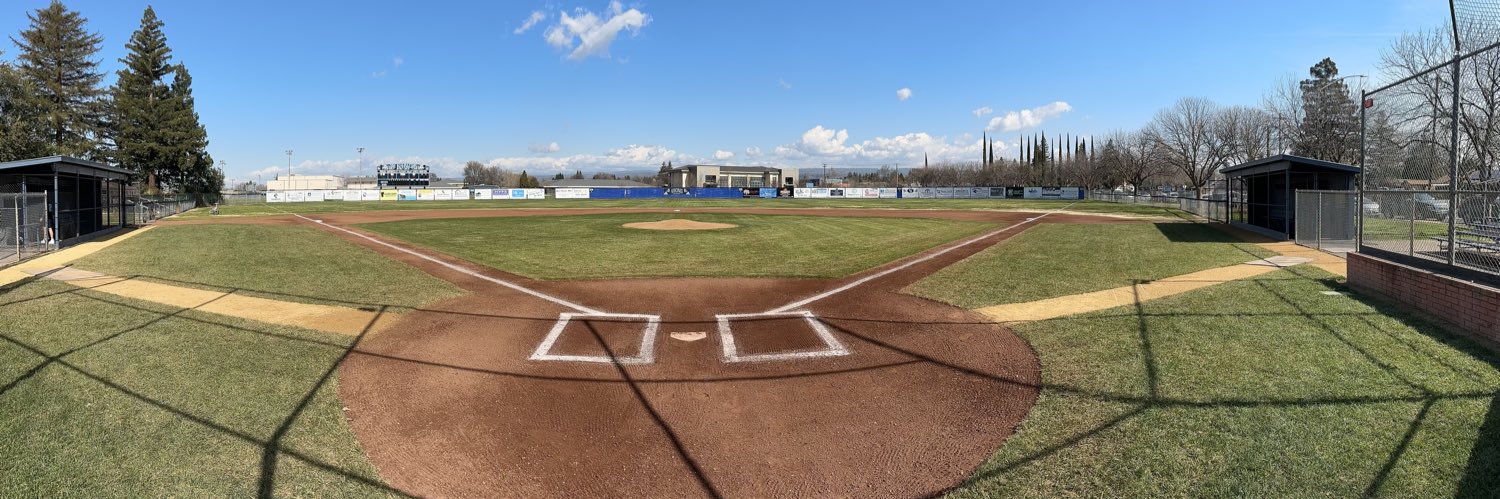PV Viking Baseball banner