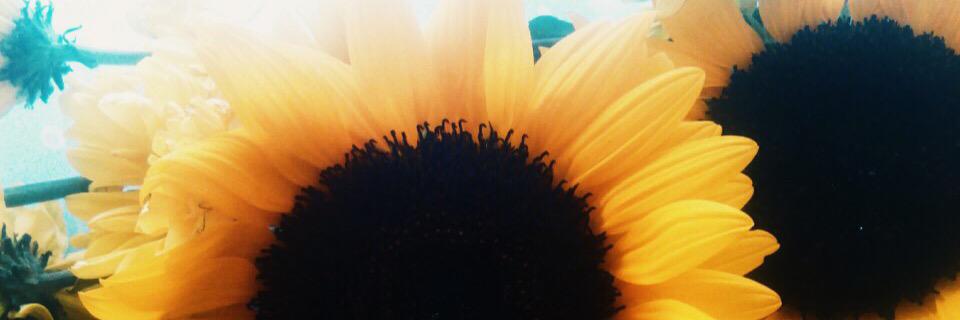 alexseeee's profile banner image