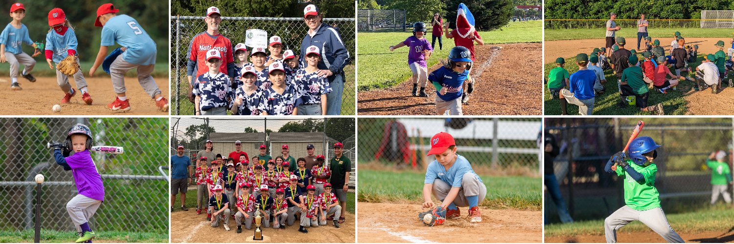 Pioneer Baseball banner