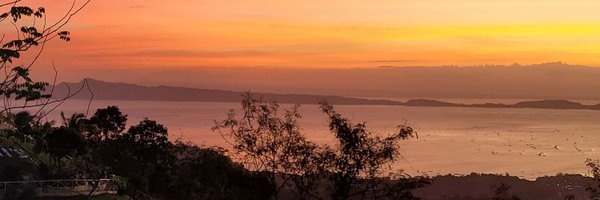 firstwinpls Profile Banner